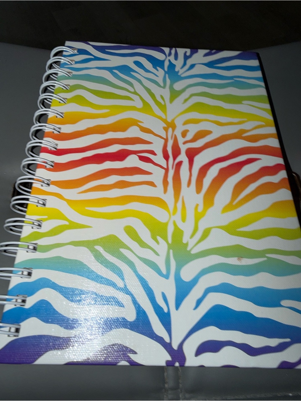 Multicolor Zebra Stripe Spiral Journal - Rainbow Cover
